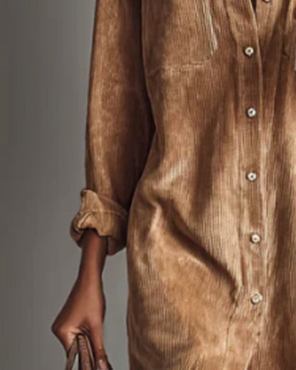 Fashionable And Elegant Lapel Dress