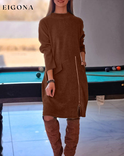 Simple Long Sleeve Dress with Zipper Brown 2023 f/w 23BF casual dresses Clothes Dresses spring