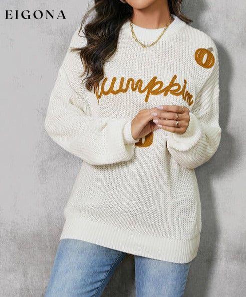 Pumpkin Embroidery Long Sleeve Sweater clothes Ship From Overseas SYNZ
