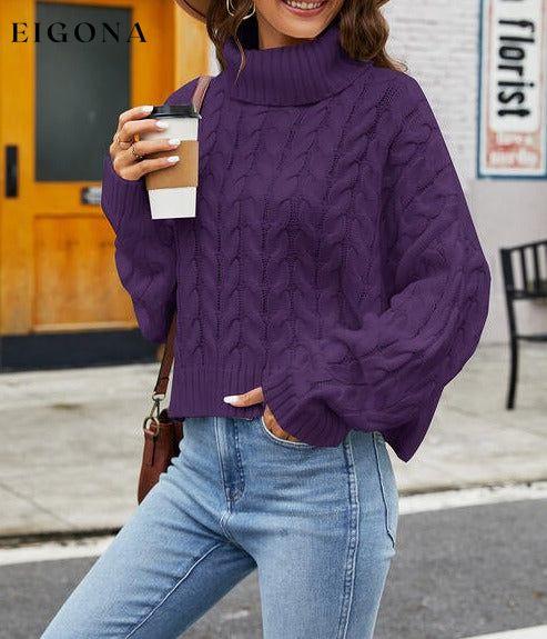 Turtleneck Cable-Knit Long Sleeve Sweater Plum clothes Ship From Overseas X.X.W