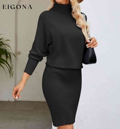 Turtle Neck Long Sleeve Ribbed Sweater Dress Black clothes Ship From Overseas Yh
