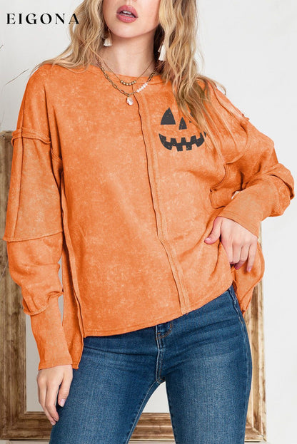 Round Neck Long Sleeve Jack-O'-Lantern Graphic Blouse clothes Ship From Overseas SYNZ trend
