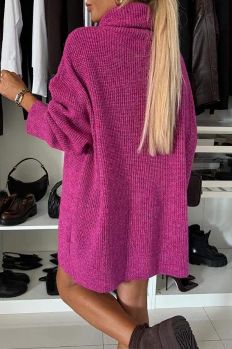 Women's Long Sleeve Casual Sweater Dress with Pile Collar Dress Mini Dress